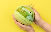 SMISKI Cushion Pouch - Cute Accent