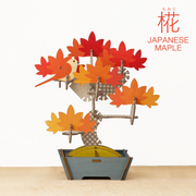 Play Plants Bonsai Puzzles - Daily Style
