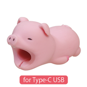 CABLE BITE for Type-C USB - Easy Pocket Ready