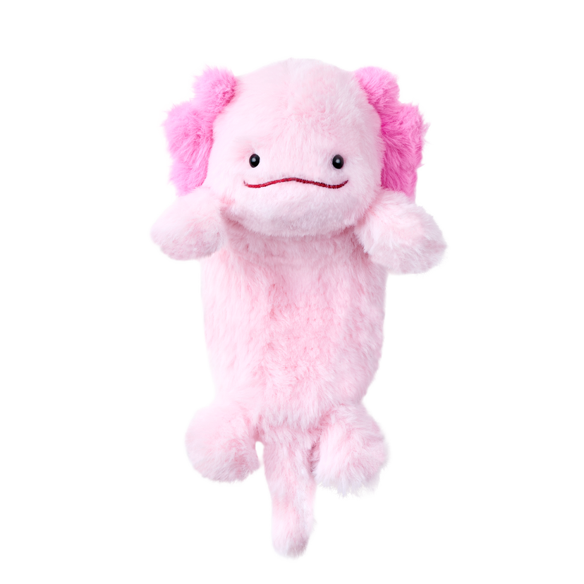 Posture Pal - Gift Ready