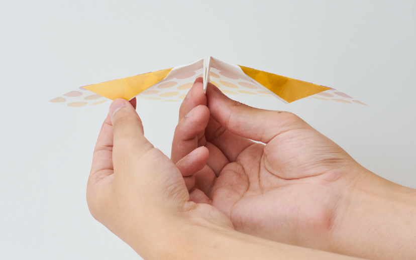 Papillon Origami Airplanes - Travel Display Accent