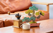 Play Plants Bonsai Puzzles - Daily Style