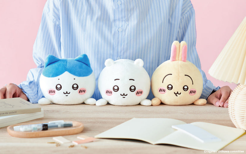 Posture Pal - CHiiKAWA - Pocket Desk Find
