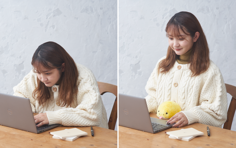 Posture Pal - Pocket Travel Pick