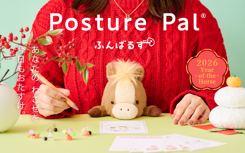 Posture Pal - Little Pocket Pick