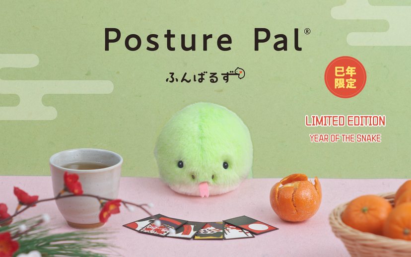 Posture Pal - Pocket Travel Pick