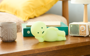 SMISKI Touch Light Vol. 2 - Room Ready