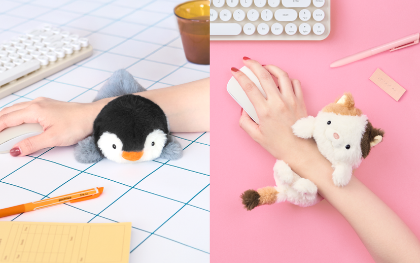 Posture Pal - Gift Ready