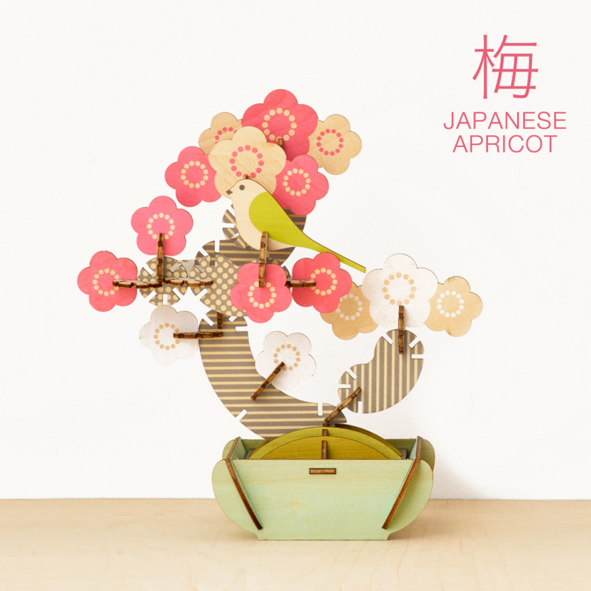 Play Plants Bonsai Puzzles - Daily Style